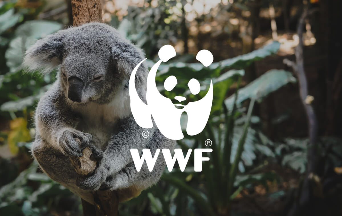 A grey koala sits on a tree branch, surrounded by lush green foliage, with the WWF logo prominently displayed below it.