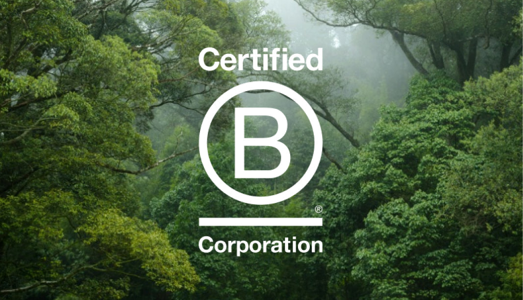 A lush green forest background with mist, featuring a white "Certified B Corporation" logo prominently displayed in the center.