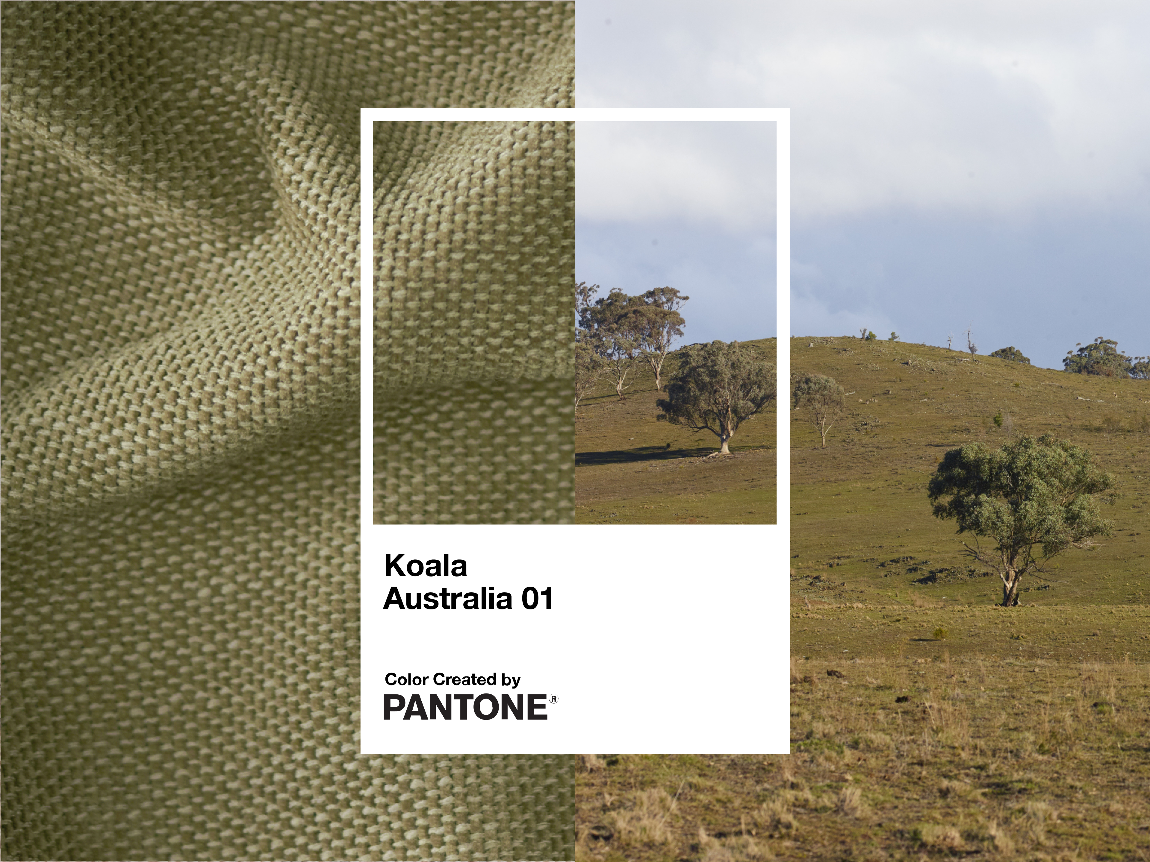 Koala Sofa Bed [4th Gen] - Australia 01 | Pantone (Classic) / 3-Seater (King)