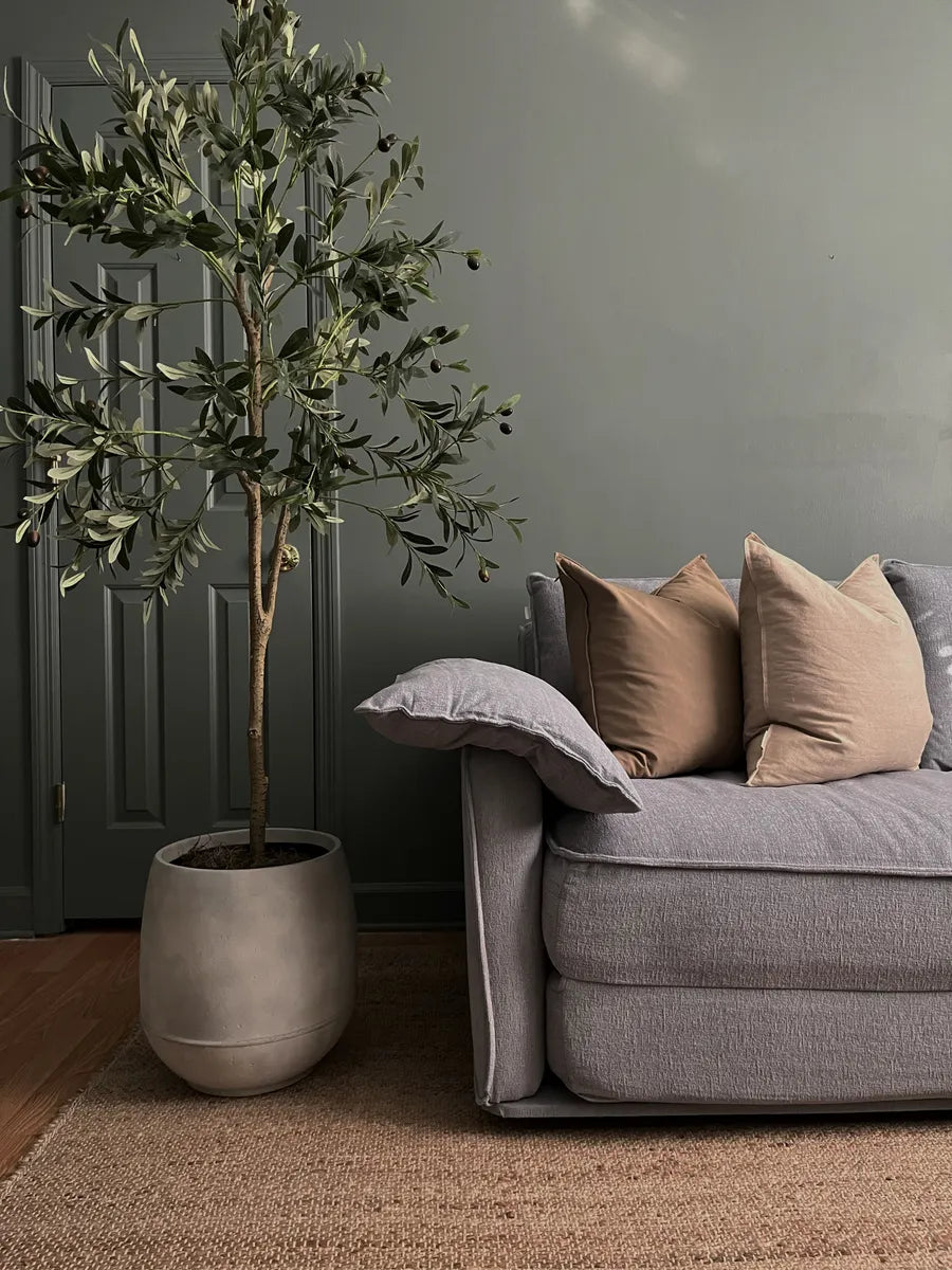 A light grey sofa with beige pillows sits beside a potted olive tree in a concrete planter on a beige woven rug, against a dark green wall.